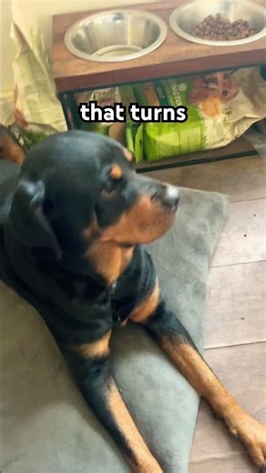 my body is a MACHINE