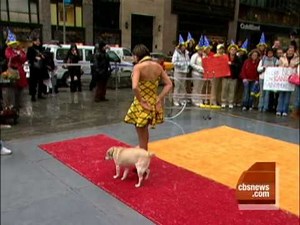 Ringling Bros. Dog Act