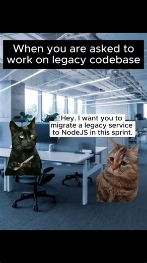 Cat Memes Tech | Tech Humor with Cats on Instagram: "Follow @catmemes_tech for more tech humor served by cats #programmingmemes #techmemes #coding #memes"