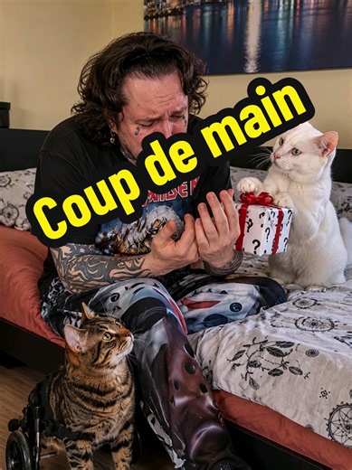 J’ai mal partout,et évidemment Choupette choisit CE moment-là pour m’annoncer qu’elle a un cadeau pour moi…🎁😑 Autant vous dire qu’avec elle,le mot « cadeau » me donne généralement plus envie de fuir que de dire merci.😂 Et aujourd’hui,je suis clairement pas d’humeur à subir une nouvelle connerie:j’ai mal de partout!👴💀 Sauf que,pour une fois,Choupette prétend que son cadeau est justement censé me faciliter la vie…🤔 Apparemment,elle aurait même trouvé une solution pour soulager mes pauvres do