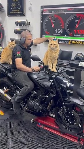 Yamaha MT-03 Top Speed😱. Top Speed Of Yamaha MT-03😱. Fastest Bike Of Yamaha In Segment😱. You Shock😱.