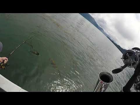 Halibut fishing in Wrangell, Alaska