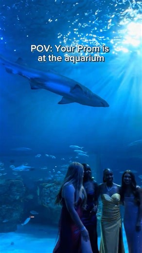 When Your Prom Is at an Aquarium 🐠✨