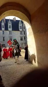 Que le Tournoi commence !! | Château du Plessis-Bourré