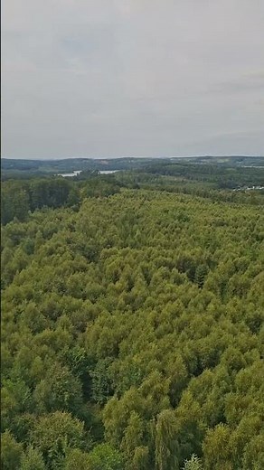 🌿 "Nature’s Beauty | Green Landscape | Soothing Relaxing View for Mind & Soul"