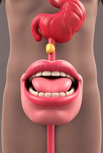 How the stomach works according to robots. Enjoy this informative video. #stomach #medical #intestine