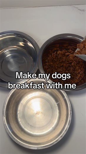 Carlie and Leo on Instagram: "Our new favorite product is the omega oil by native pet. Use code LEOTHEDAL on your next order"