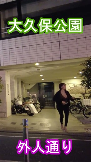本日の大久保公園・新宿歌舞伎町の夜・ラブホテル街をお散歩！東京散歩 Tokyo Night Walk Japan Walking Tour Shinjuku Kabukicho Nightlife