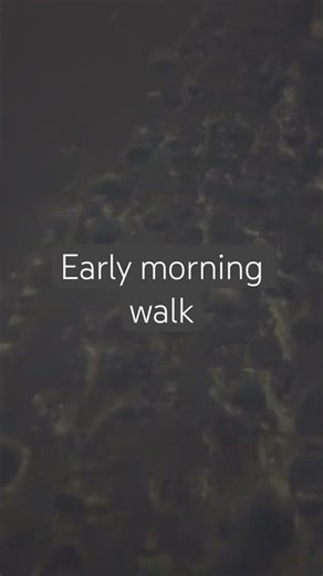 Early morning walk