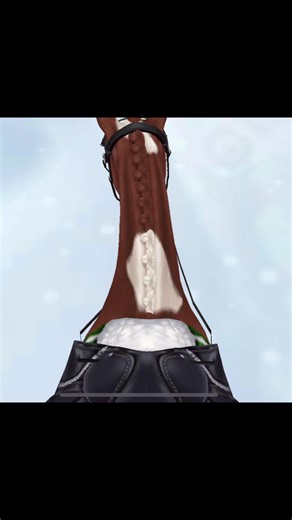 {{RRP SSO}} Trenerka pozwoliła mi tak nagrać!!, to mój drugi trening, szło mi nawet dobrze ——————————— ❓-jak długo jeździcie konno? ————————————— #rrpssopl #starstableonline #sso #polska #drugajazda