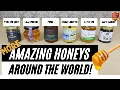 AMAZING HONEYS 2 | TASTE TESTING the World's Best Honeys | Sidr, Pine, Avocado, Linden, Basswood...