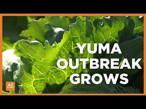 Yuma confirms parasite infections. Here’s why doctors are concerned