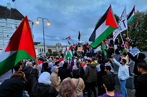 Pro Palästina-Demo in Linz: Heftige Kritik und einschlägige Teilnehmer