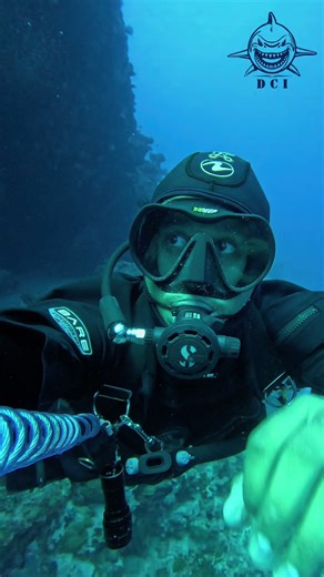 Unstoppable Adventures: Your Guide to Vacation Diving