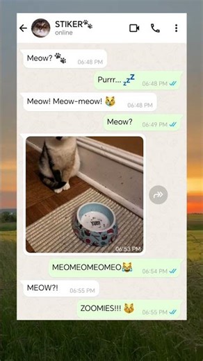 Talking to my cat be like... 🐈💬 #shorts #funny #cats #relatable #zoomies