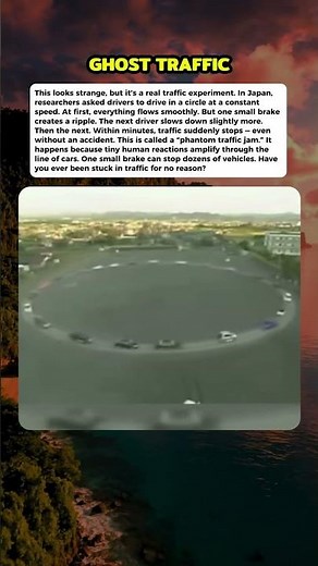 Why Traffic Jams Appear From Nowhere #curiosity #mistery