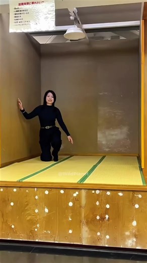 Simulatore di Terremoti: L'Impatto dei Grandi Eventi