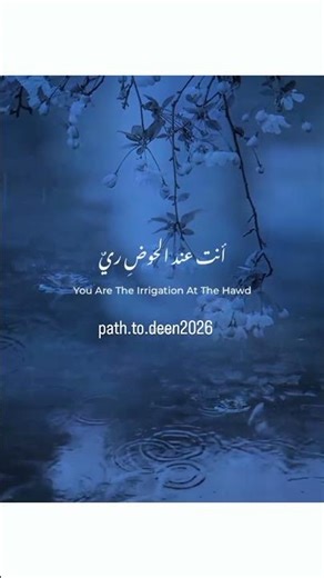 Even In Darkness, Allah’s Light Finds You” ✨