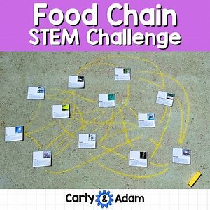 Food Chain 5th Grade Science Lesson Butternut Hollow Pond Read Aloud STEM