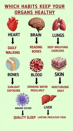 Daily Habits That Keep Your Organs Healthy | Improve Organs Naturally #healthylifestyle #diettips
