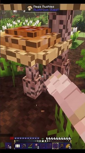Mushroom Quest Mod 🪄 Download Whimsywood: Wizards & Witches on CurseForge🪄 Forever World 🪄 ch1