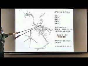 「鳥類の解剖」（吉岡先生）
