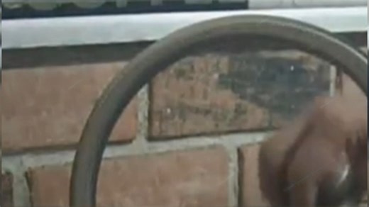 Watch You won't believe this works so well! on Amazon Live