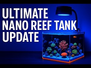 Ultimate Nano Reef Tank Update!!