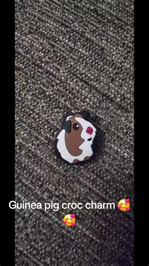 Love my Guinea pig croc charm, such a cute piggle 🥰 next to my cavalier charm 🐶 #pet #guineapigsoftiktok #crocs #charm #animal