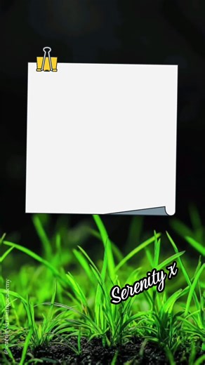 #serenitysquotes #healingjourney #dailymotivation #selfcare #bethebestversionofyou