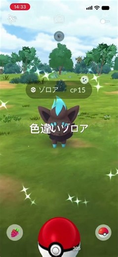 ポケモンGO コミュニティデイで色違いゾロア出現！ #ポケモン #pokémon #pokemongo #ポケモンgo