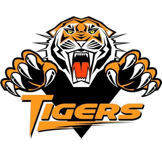 Anthony Farrell Game Report: @ Chittenango