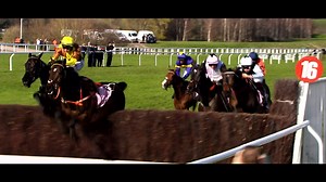 The Ladbrokes Punchestown Gold Cup is the feature race on Wednesday. Watch it live on @rte2 and @rteplayer from 3:30pm. #rteracing | RTÉ Sport