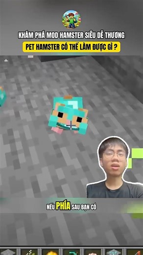 KHÁM PHÁ MOD HAMSTER SIÊU DỄ THƯƠNG, PET HAMSTER CÓ THỂ LÀM ĐƯỢC GÌ #shorts