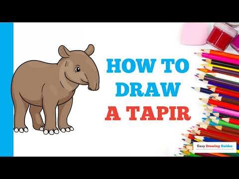 How to Draw a Tapir: Easy Step by Step Drawing Tutorial for Beginners