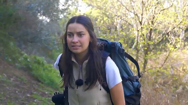 Mass Extinction - Behind The News