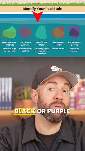 Black Stains In Your Pool After Winter? ⚫️ | Swim University