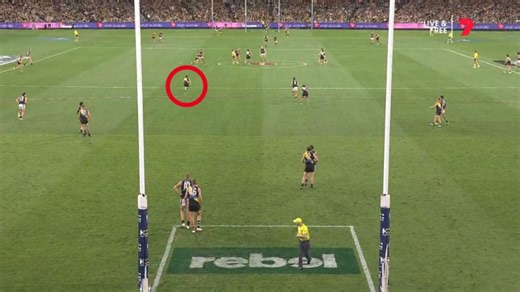 Behind the goals vision exposes Richmond blunder in dying seconds