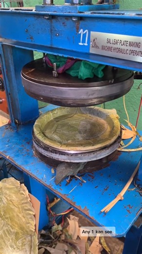 Traditional Saal Leaf Plates Making in Indian Village! 🌿 #shorts
