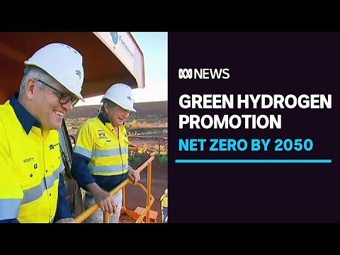 Nationals 'fearmongering' on coal to win votes says magnate Andrew 'Twiggy' Forrest | ABC News