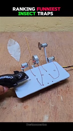 RANKING MOMENTS on Instagram: "Funniest Insect Traps You Can’t Miss 😂 Follow @justmomentzzz #viral #reels #ranking #moments #instagood"