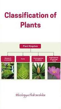 Classification of Plants: 🪴Understanding the Diversity of the Plant Kingdom 🌱