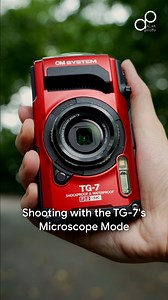 The Microscope Mode on the OM System TG-7 allows you to get super up close to your subjects for some amazing shots! Check out what we managed to capture with the Microscope Mode  Shop the new OM System TG-7 on our website now: https://alanphoto.com.sg/om-system-tough-tg-7-digital-camera #Photography #AlanPhoto #Singapore #Camera #Lens #Broadcaster #OlympusImaging #OlympusImagingSG | Alan Photo SG | Facebook
