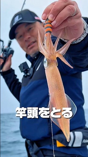 Become the top angler! This is squid metal fishing!