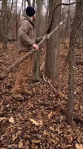 Making smaller logs with no saw🪵 #bushcraft #survival #camping #outdoors #selfreliance | Survival Life