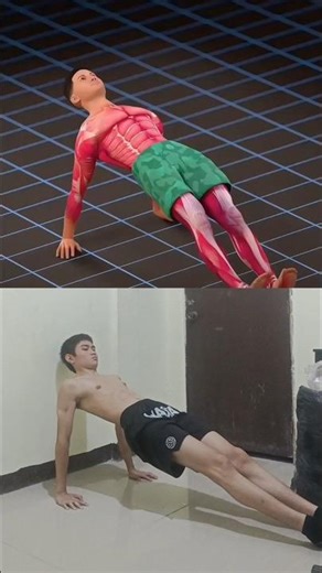 Benefits of Reverse plank Sit with legs straight, place palms behind you, lift with your hips. #fyp