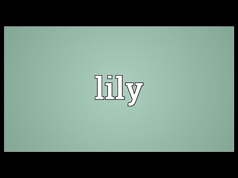 Lily Meaning