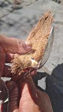 make fire of solar fire #firemaking #creativesurvival #bushcraft #survival