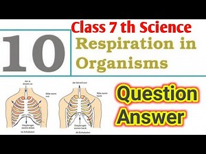 Respiration in Organisms ll Class 7 th Science Chapter-10 Question Answer ll Ncert Solutions