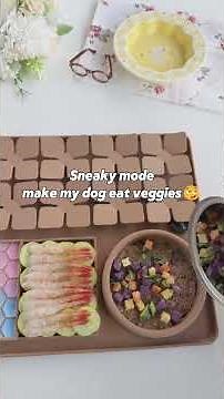 ASMR Making Slow-Feeder Dog Food 🐶💖#animalshorts #dog #dogs #dogshorts #dogvideos #pets #asmr #fyp